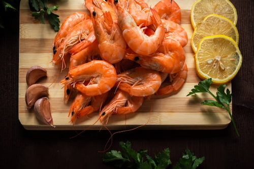 فروش میگو سرتیز + فروش عمده